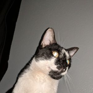 Meet your Posher, Kameryn